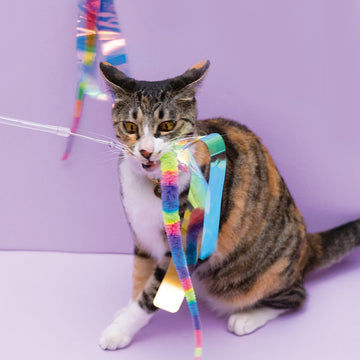 ZOOAHPET Kasha Rainbow Snake Cat Teaser Wand (2M) - BORINGTHINGS