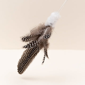ZOOAHPET Real Feather Cat Teaser Wand - BORINGTHINGS