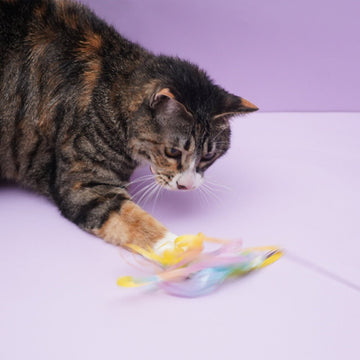 ZOOAHPET Rainbow Jellyfish Cat Teaser Wand - BORINGTHINGS