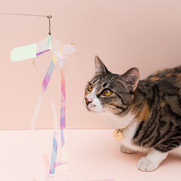 ZOOAHPET Aurora Spinning Cat Teaser Wand (2M) - BORINGTHINGS