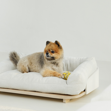 DUIT Noop Noop Cushion In Bed (Minor Defect)