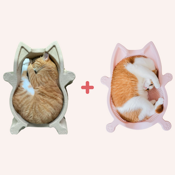 CAT BANG SOKURI Cat Basket + DDUNDDUNI 1+1 Set