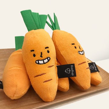 DINGDOG Carrot Nosework Toy