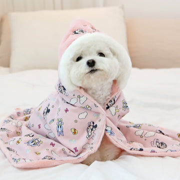 ITS DOG Disney Baby Friends Blanket - BORINGTHINGS