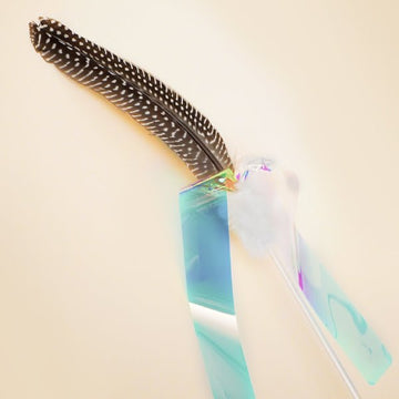 ZOOAHPET Kasha Horn Chicken Stick Teaser Toy - BORINGTHINGS