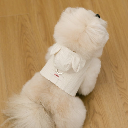 SSFW Love, Walk Teddy Harness
