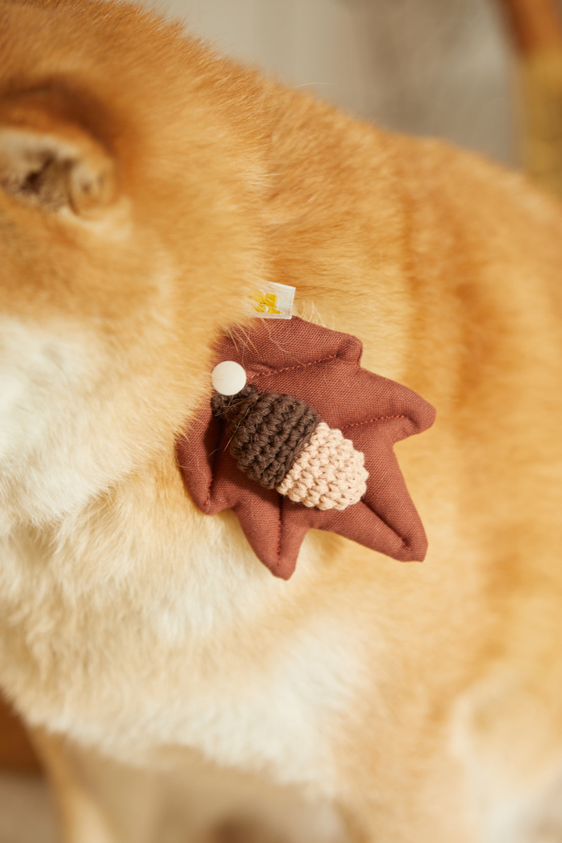 HIKOINU Acorn Pet Charm