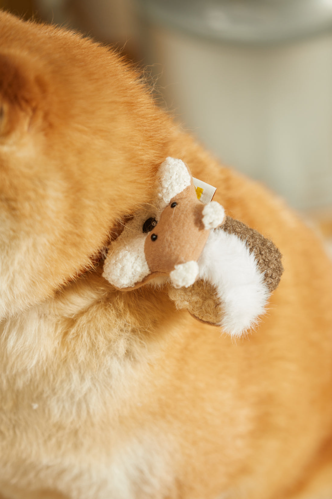 HIKOINU Chipmunk Pet Charm