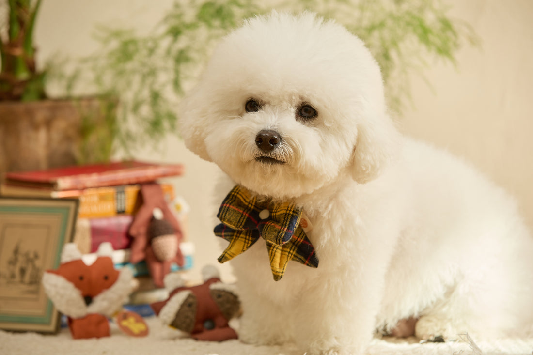 HIKOINU Classic Tartan Bow Pet Charm