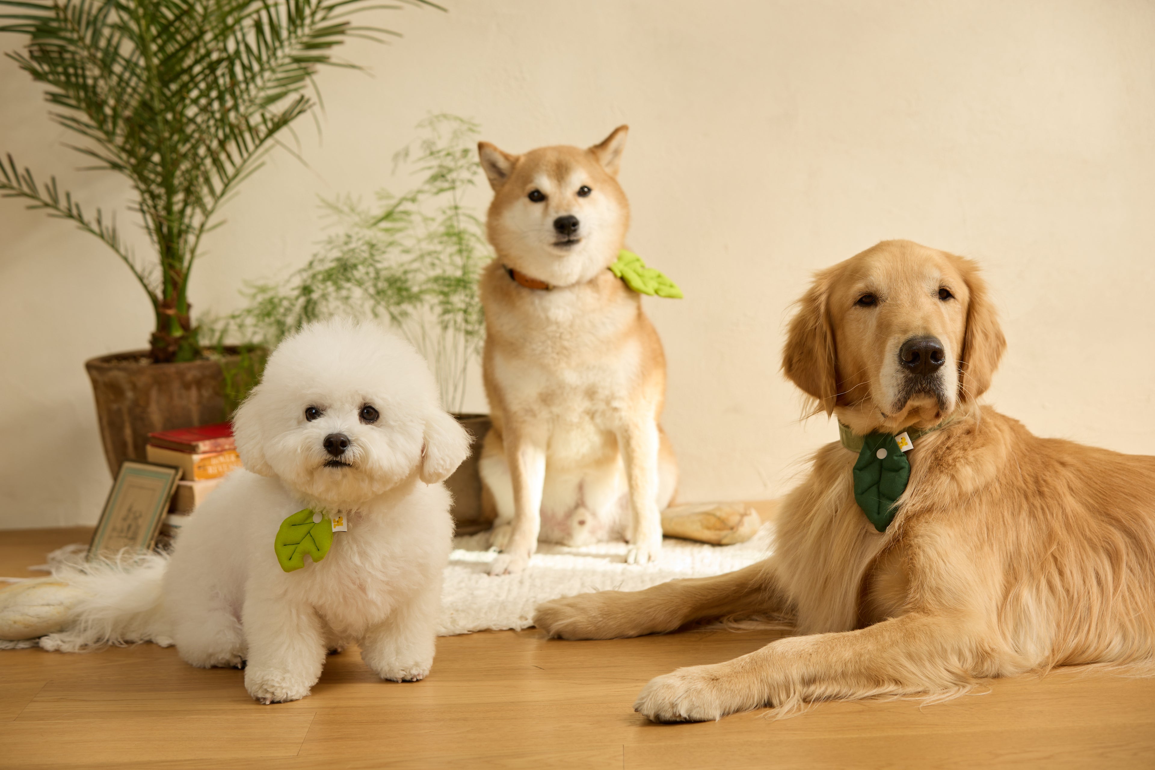 slider image slider_item_Rfdnew