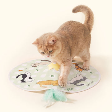 PETCARE Catch Star Interactive Smart Cat Toy
