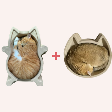CAT BANG DDUNDDUNI + DDONGEULI Natural Paper Pulp Cat Nest 1+1 Set