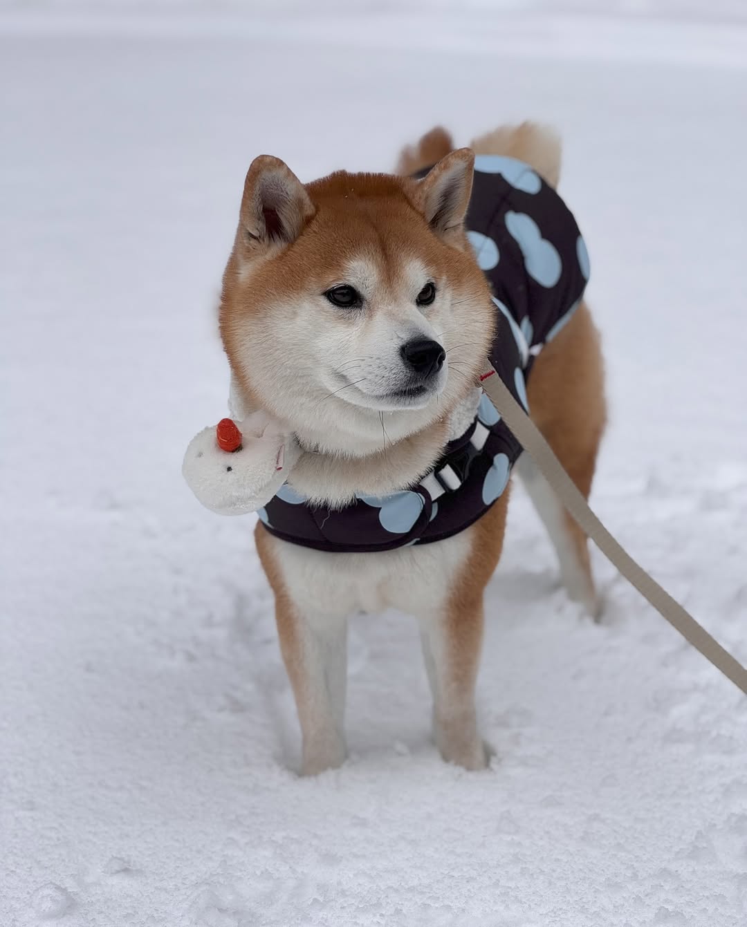 HIKOINU Snowman Plush Pet Charm