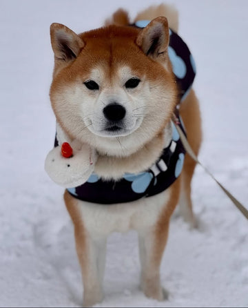 HIKOINU Snowman Plush Pet Charm