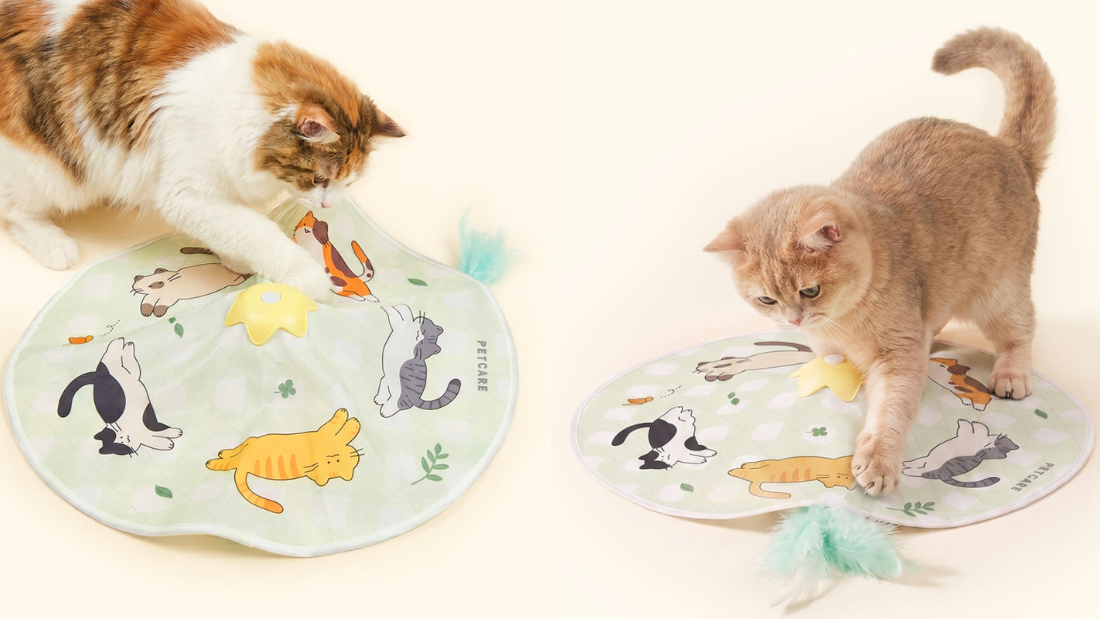 slider image slider_item_QLqedW