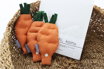 HIKOINU Carrot Pet Charm