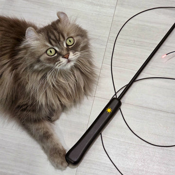 PETCARE Lumiwhisker Fiber-Optic Cat Wand Toy