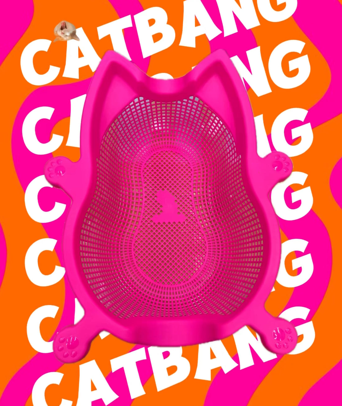 CAT BANG SOKURI 菜籃子貓窩