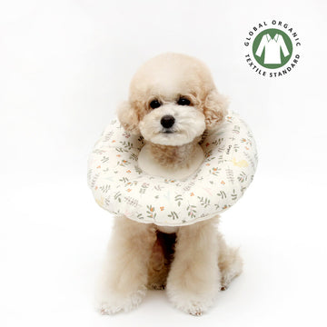 ITS DOG Organic Home Care Neck Collar