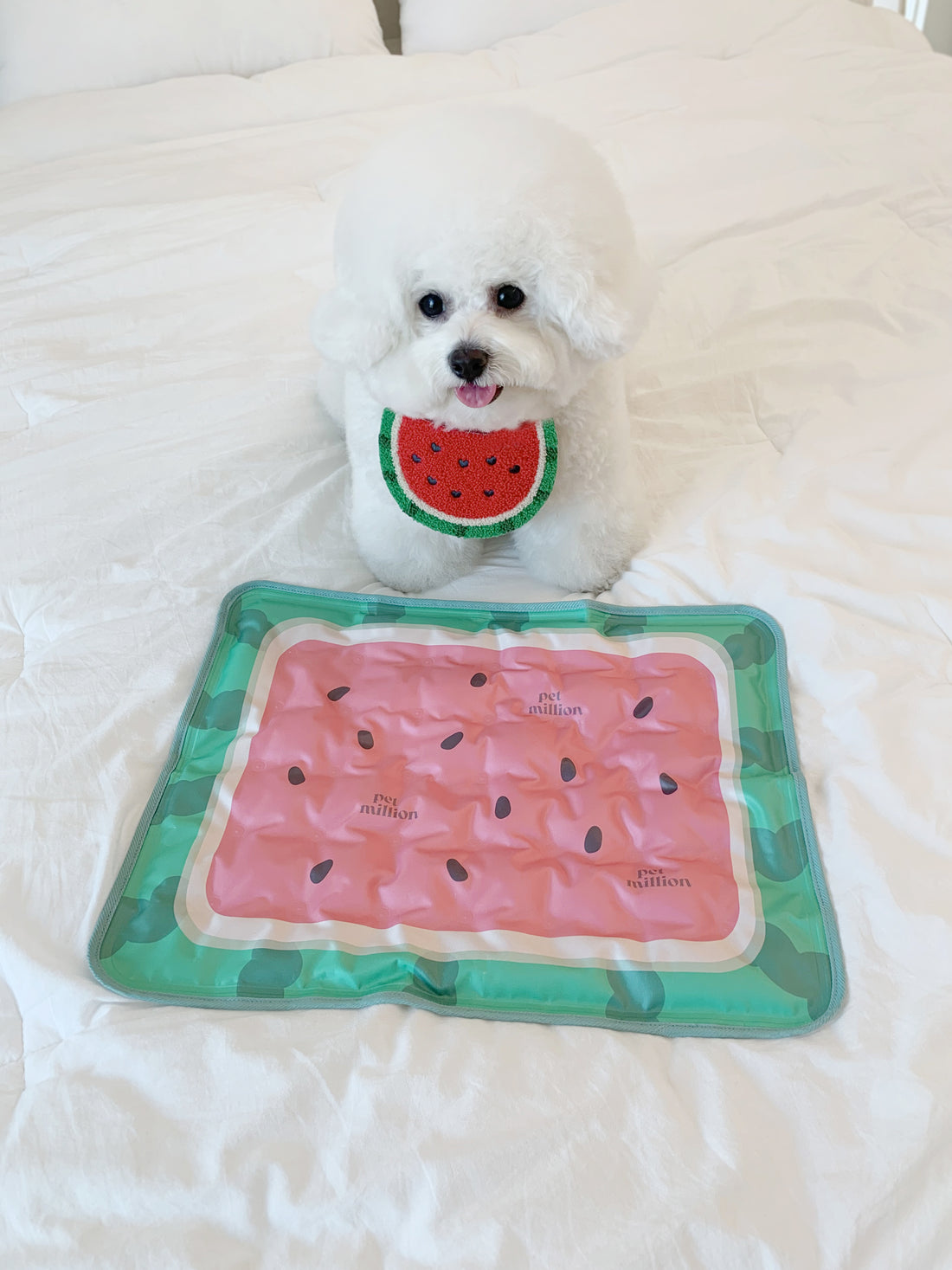 PET MILLION Summer Cool Mat