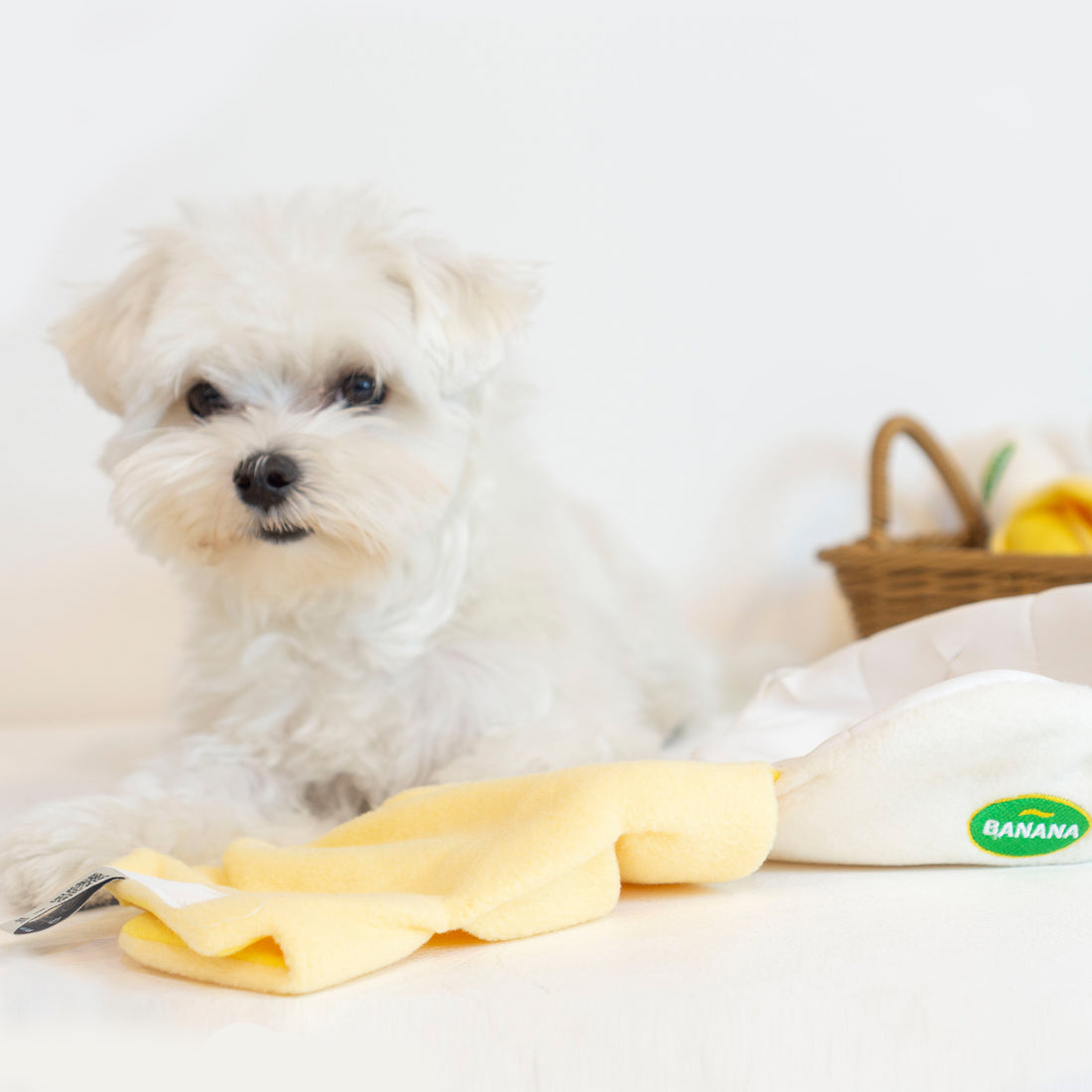 DINGDOG Banana Nosework Toy