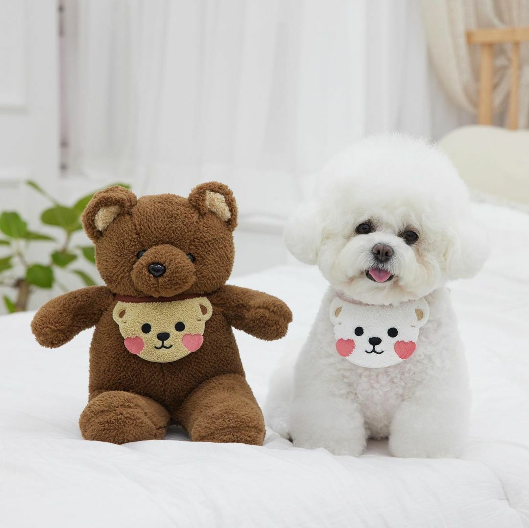 PET MILLION Teddy Bear BIB