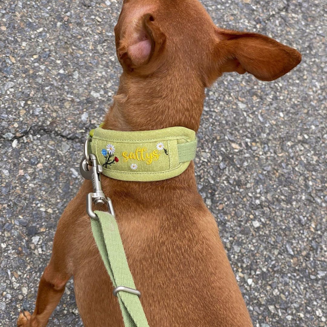 THESALLYSLAW Daisy Flower Collar (Olive)