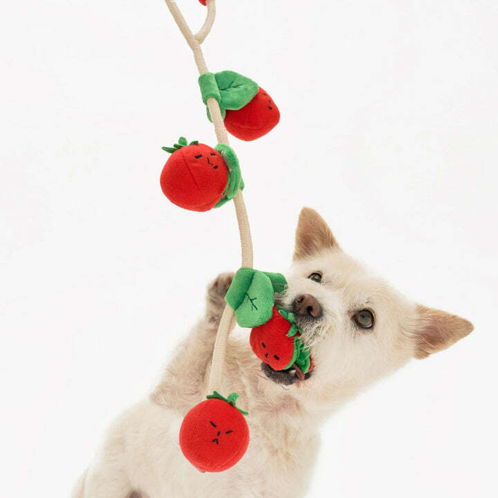 THE FURRYFOLKS Cherry Tomato Nosework & Tug Toy