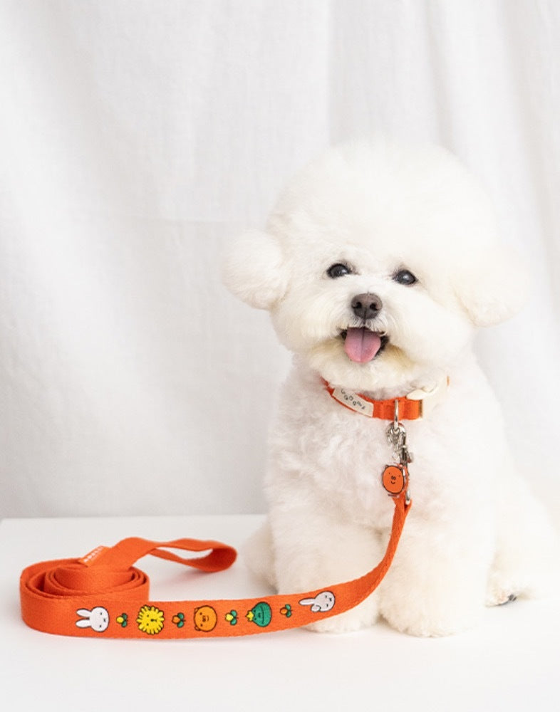 NOUTTI Miffy & Friends Leash