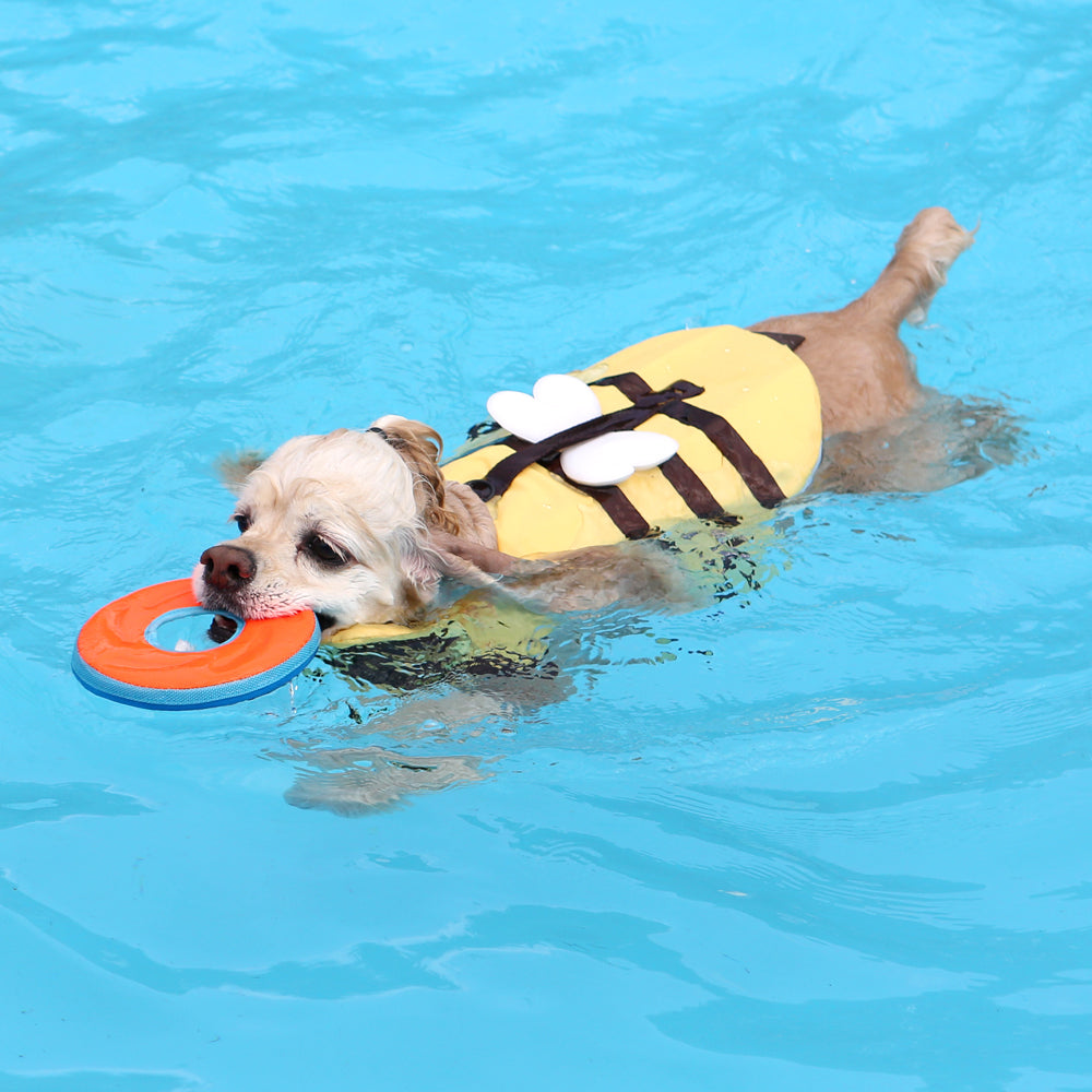 ITS DOG Bee Life Jacket