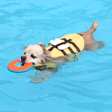 ITS DOG Bee Life Jacket