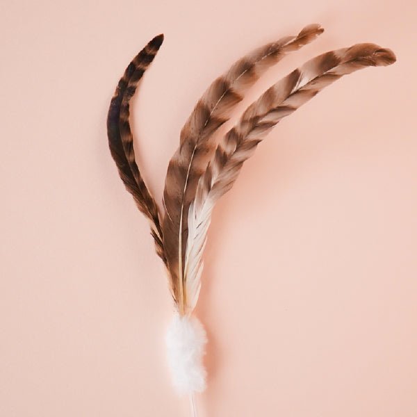 ZOOAHPET Three Chicken Feather Stick Teaser Toy - BORINGTHINGS